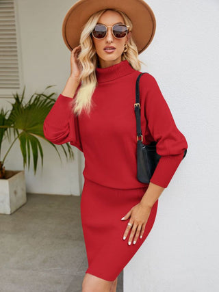 Turtle Neck Long Sleeve Ribbed Sweater Dress (Available in USA only)