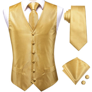 Suit Vest and Tie Set