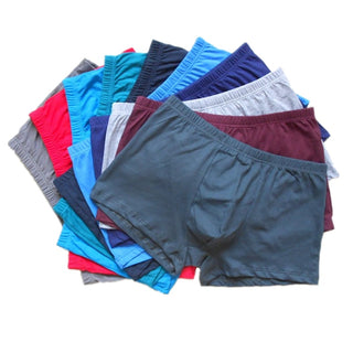 5 Pieces Low-Rise Cotton Boxers