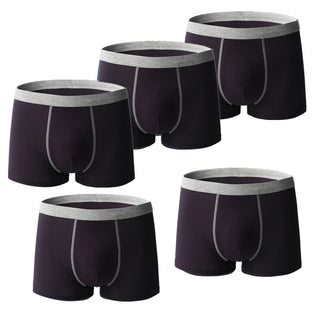 5 Pcs Boxer Briefs