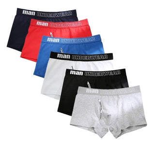 6pcs Cotton Boxer