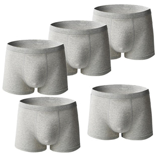 5 Pcs Boxer Briefs