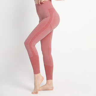 Yoga Seamless Workout Gym Leggings