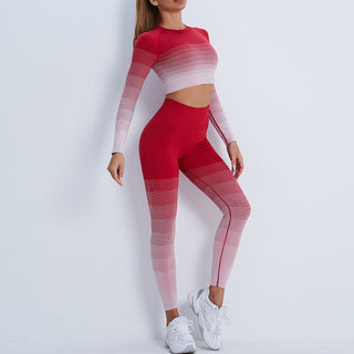 Gradient Seamless Work Out Clothing Set