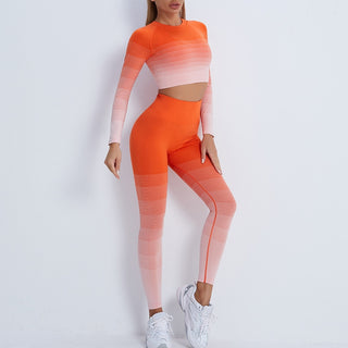 Gradient Seamless Work Out Clothing Set