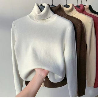 Turtleneck Wool Sweater