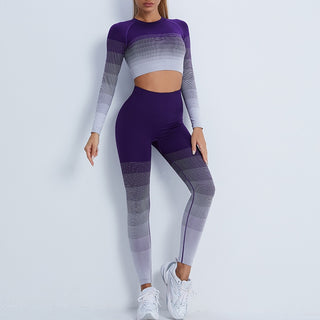 Gradient Seamless Work Out Clothing Set