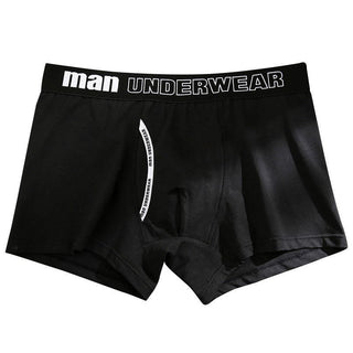 6pcs Cotton Boxer