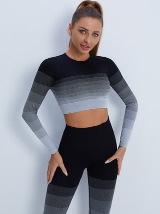 Gradient Seamless Work Out Clothing Set