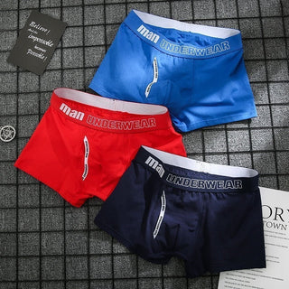 6pcs Cotton Boxer