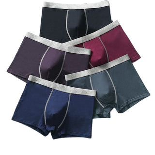 5 Pcs Boxer Briefs