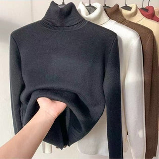 Turtleneck Wool Sweater