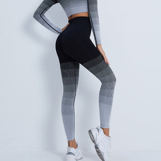 Gradient Seamless Work Out Clothing Set