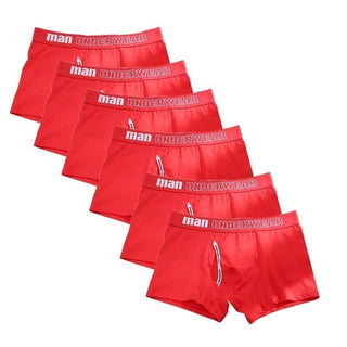 6pcs Cotton Boxer