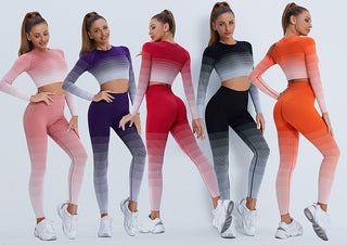 Gradient Seamless Work Out Clothing Set