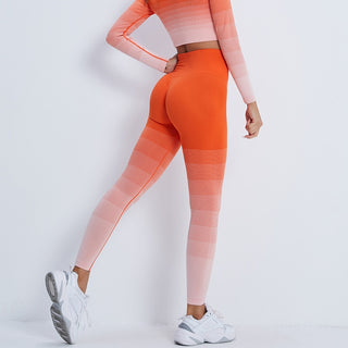 Gradient Seamless Work Out Clothing Set