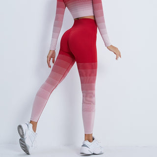 Gradient Seamless Work Out Clothing Set