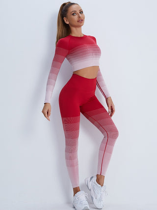 Gradient Seamless Work Out Clothing Set