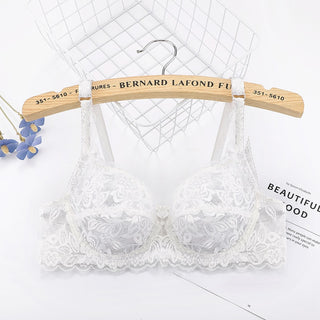 Sexy Lace Push Up bra